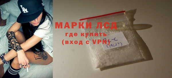стафф Медвежьегорск