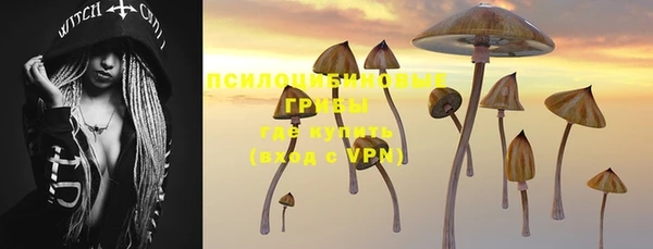стафф Медвежьегорск